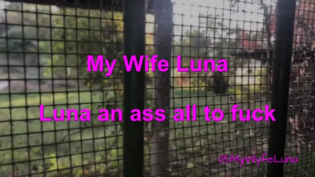Oh la vacca - Appuntamento al buio