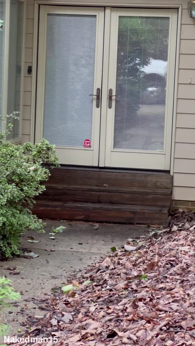 sesso al campus con le porno studentesse 