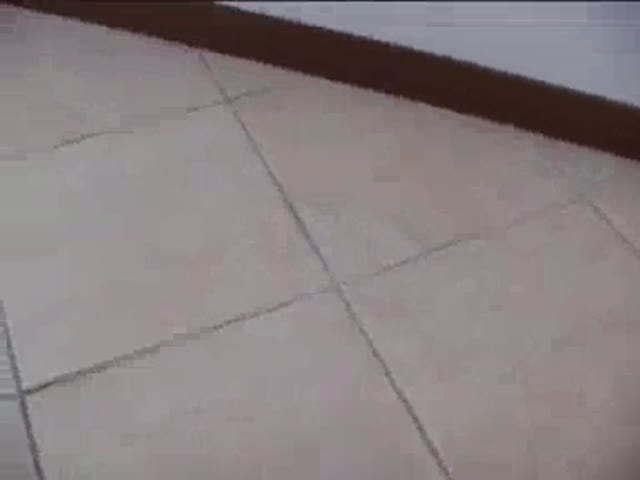 Troia grassa nera si fa sfondare la figa carnosa