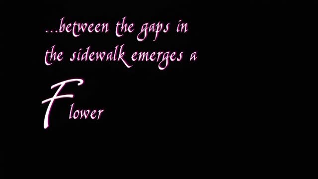 ricche milfone e il sesso lesbo